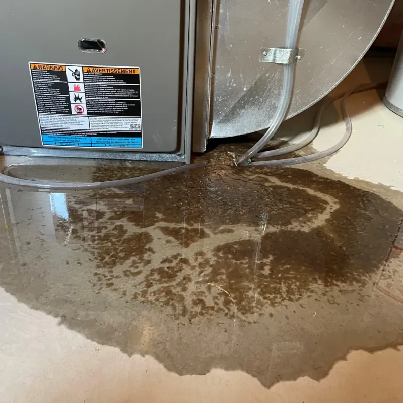 Appliance Leak Cleanup in North Belle Vernon, PA